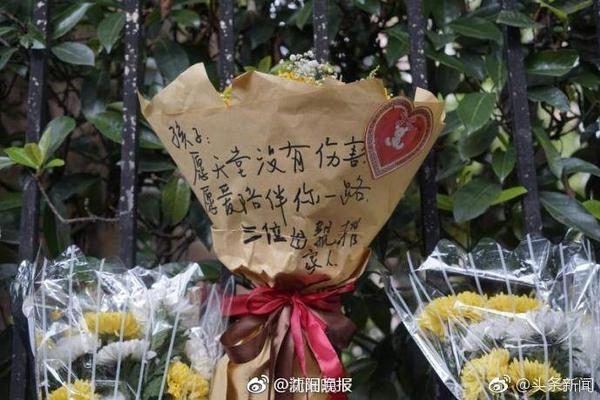 蓝莓跳转隐藏路线效果如何百度桌面版客户端