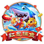 斯基拉：里昂门将佩利转会交易达成，将以1600万欧加盟利兹联